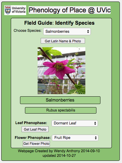 field guide screenshot - V.2.0 in Lively