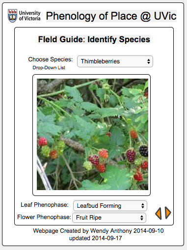 field guide screenshot - V.1.0 in Lively