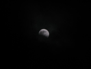 Winter Solstice Lunar Eclipse